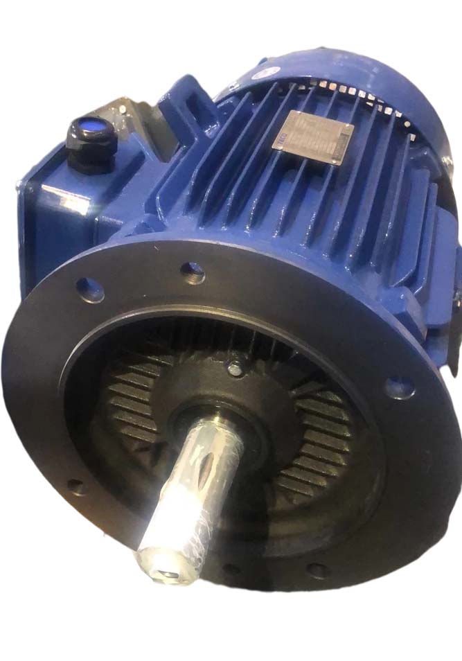 AEUV3N超高效三相異步電機(jī)(MODEL:TEV3)
